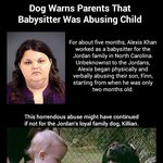 [우<b>쭈쭈</b>] 아동학대를 막은 개