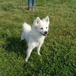 [영웅이] 영웅이 성장과정 2탄