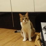 [<b>우람</b>이] 새로운보금자리로