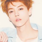 [exo] 루한 짤로 눈<b>정화</b>하기^ㅡ^