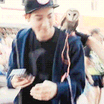 [exo] <b>부엉이</b> 자기가 고르고는 놀라서 도망가는 찬열이