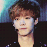 [exo] <b>루한</b>짤짤