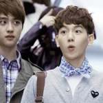 [exo] 변백시골쥐