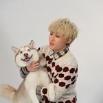 [블락비] 아무리 봐도 이거 너무웃긴거같ㅌ애ㅋㅋㅋㅋㅋㅋㅋㅋㅋ