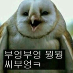 [인피니트] 부엉부엉<b>시부</b>엉