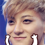 [exo] <b>타오</b>이거