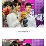 [exo] ###경수의 코끼리인형<b>부심</b>###