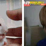 [exo] 오늘 백현이놀라는거랑 <b>씽크</b>로율 100% 짤