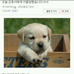 한 <b>순수</b>한 환자가 간호사에게 고백하는 방법.jpg