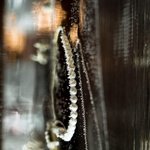 [디디에두보] 디디에 두보 2014 s/s 캡슐 컬렉션 개최