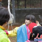 중국에도 '아빠,어디가??'