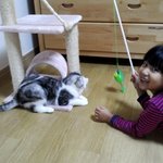 [미남이] 꽃보다 미남이 <잘생긴 고양이 미남이 이야기 7탄>