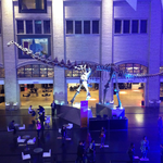 [<b>LIFE</b>]캐나다- 금요일에는 반값으로 박물관 관람