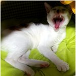 [완두콩이] <b>한지붕</b> 세여인 15_느낌 아니까~~