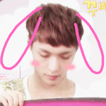[exo] 요즘 엑소<b>팬</b>들 <b>투표</b> 잘안하는거 같음..ㅠㅠㅠㅠ