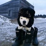 요즘같은 추운날씨! 뜨겁게 열나는 영화 한편 어때요?