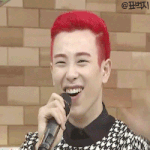 [블락비] 나갈게<b>꿀벌</b>들