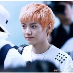 [exo] 근데 사실 나도요즘