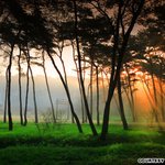 사진작가들을 <b>매료</b>시키는 한국에서 가장 아름다운 장소 top40