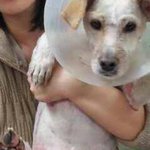 [도와주세요] 울산 중구 대박이 사건 널리 퍼트려주세요