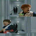 [exo] 엑소 귀신봄?