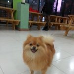 [tom &amp; jerry] 톰과제리 같은 형제!