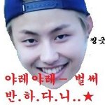 [블락비] 꿀벌들 새꿀벌이 올것같아