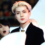 [exo] 세훈<b>이양</b>옆 시강짤