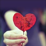 [허스키<b>심바</b>] 모든 네이트판 이용자님들 톡선에 엑소글로 도배되있어서...