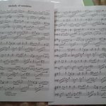 [블락비] 내 자작곡을 지코한테 들려주고싶다..