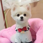 [한글이] 한글이 먹방 [47]