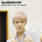 [EXO] 야 너네 최애랑 이상형