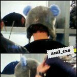 [EXO] 비떱씨떱 실시간 루루
