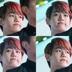 [EXO] 내일 엔터톡갈꺼야?아님 계속여기?