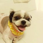 애교만점우리아기