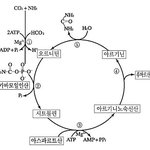 [블락비] 있잖아