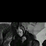 [빅뱅] <b>병맛</b>쩐닼