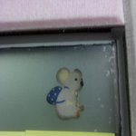 [코알라] 고삼예고생들의 실체(코알라<b>자폭</b>편)