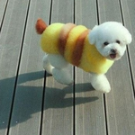 [블락비] ㅋㅋㅋ귀엽다