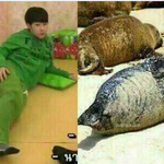 [인피니트] <b>성규</b> 닮은꼴