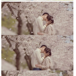 <b>봄이</b>오면