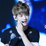 [EXO] 내입덕이특이한건가?봐줘