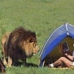 1초 후가 무서운 순간<b>포착</b> 사진들