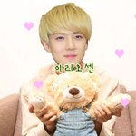 [비상대피소] 헬로우<b>시드니</b>