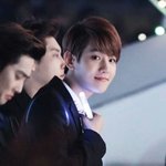[EXO] 얘드라 진짜궁금해서묻는건데 니네최애