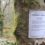 [LIFE]캐나다- 회귀하는 연어들을 보러면 Goldstream...