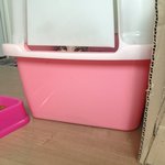 정말 사람같은 냥이