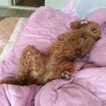 도배 죄송합니다만 <b>청주</b>사시는분들 꼭 봐주세요