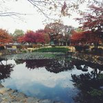 [나혼자여행] 24男 나홀로 경주여행기 <사진은오직 아이폰4로만...