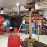 [화이팅] 우울한 얘기는 털어<b>버리</b>잣!